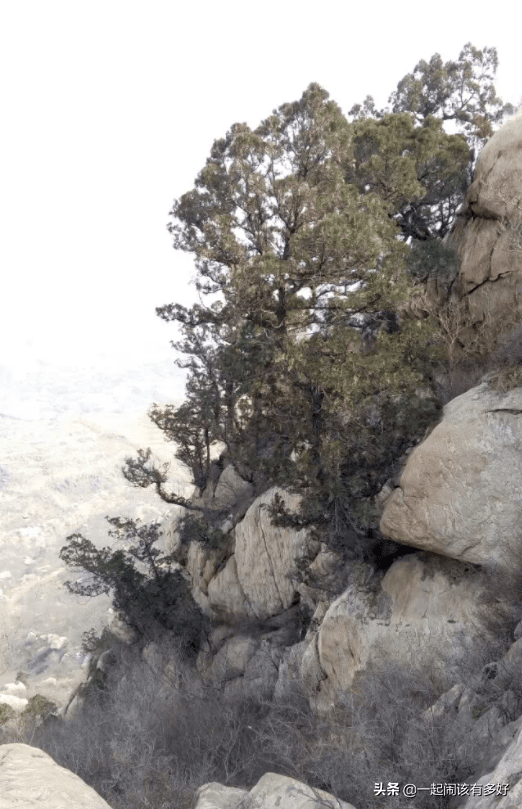 鳌鱼山在哪里(鳌鱼山海拔多少米)