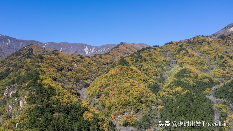 秦皇岛最高的山(秦皇岛最高峰)