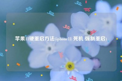 ​苹果11硬重启方法(iphone11 死机 强制重启)