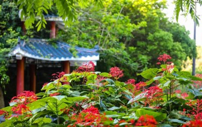 ​去马峦山郊野公园玩，最全出行攻略来喽