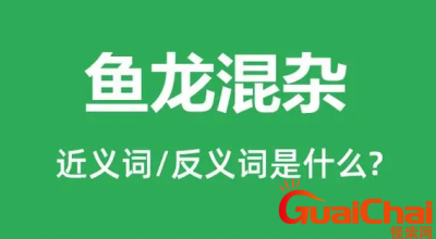 ​鱼龙混杂的近义词有哪些？鱼龙混杂的意思是什么？