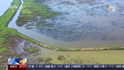 ​守护“一湖清水”，鄱阳湖如何控制总磷污染？