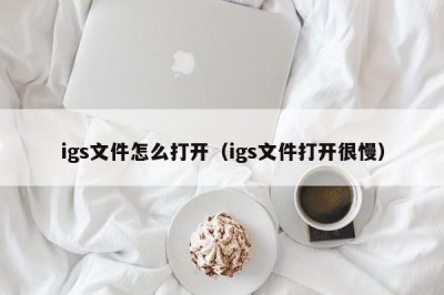 ​igs文件怎么打开（igs文件打开很慢）