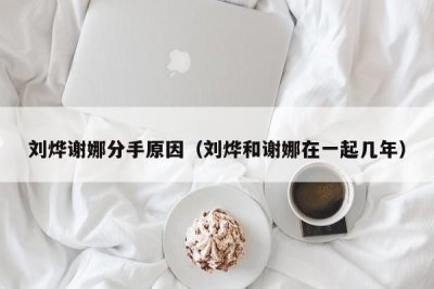 ​刘烨谢娜分手原因（刘烨和谢娜在一起几年）