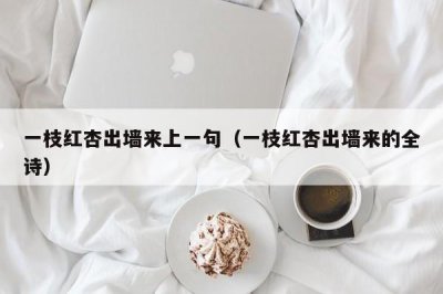 ​一枝红杏出墙来上一句（一枝红杏出墙来的全诗）