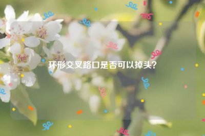 ​环形交叉路口是否可以掉头？