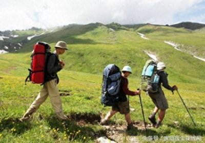 ​五一出游会用到的这9类药！小病痛就不用跑医院