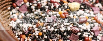 ​杂粮米生虫子了还能吃吗 五谷杂粮容易生虫怎么办