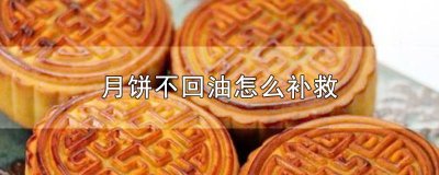 ​不需要回油的月饼做法大全图片 不需要回油的月饼做法大全图解