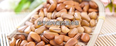 ​松子需要冷藏吗 松子可以冻起来保存吗