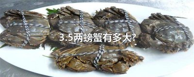 ​3.5两和3两螃蟹差别多大 3.2两的螃蟹大吗