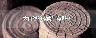 ​大自然的指南针有哪些? 大自然的指南针有哪些?仿写