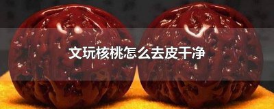 ​文玩核桃去皮方法视频 文玩核桃去皮方法图解