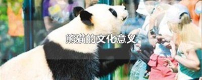 ​熊猫的文化意义怎么写 熊猫的文化意义(重要地位)