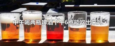 ​中午两瓶啤酒下午六点能开车吗 中午喝一瓶啤酒下午六点能吹出来吗