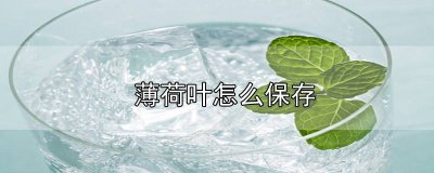 ​薄荷叶怎么保存时间长 薄荷叶怎么保存香气