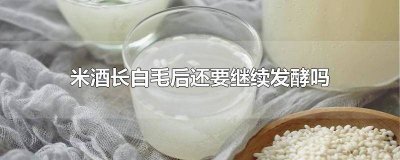 ​米酒发酵有一点点白毛还能吃吗 酿米酒有白毛长白毛了还能吃吗