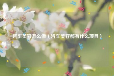 ​汽车美容怎么做（汽车美容都有什么项目）