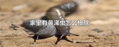 ​家里有鼻涕虫怎么根除 家里有鼻涕虫怎么根除小妙招