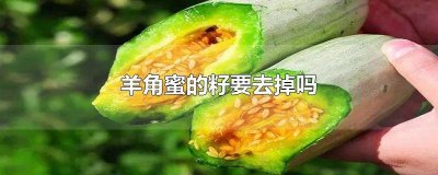 ​羊角蜜能不能吃籽 羊角蜜能吃籽吗