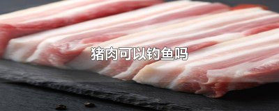 ​用生猪肉可以钓鱼吗 猪肉可以钓鱼吗?