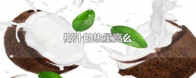 ​椰汁热量很高吗 椰汁饮料的热量高吗