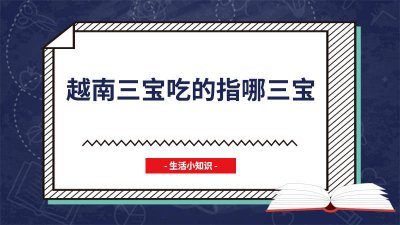 ​越南三宝小吃 特色越南三宝美食