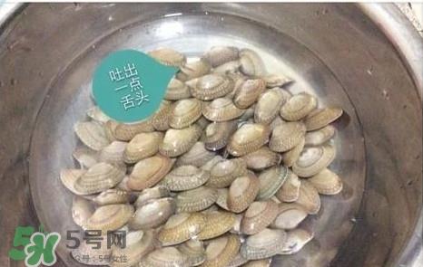 芒果螺怎么清洗？芒果螺怎么吃