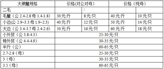 网络配图