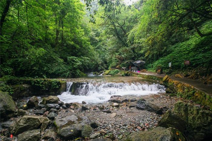 西岭雪山夏季游玩全攻略，前山后山让你一次嗨翻天