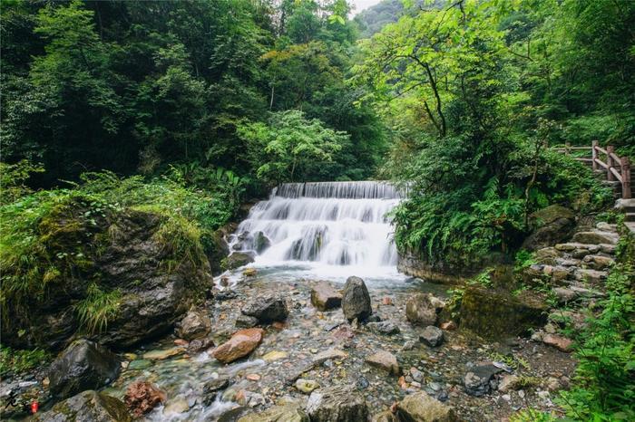 西岭雪山夏季游玩全攻略，前山后山让你一次嗨翻天