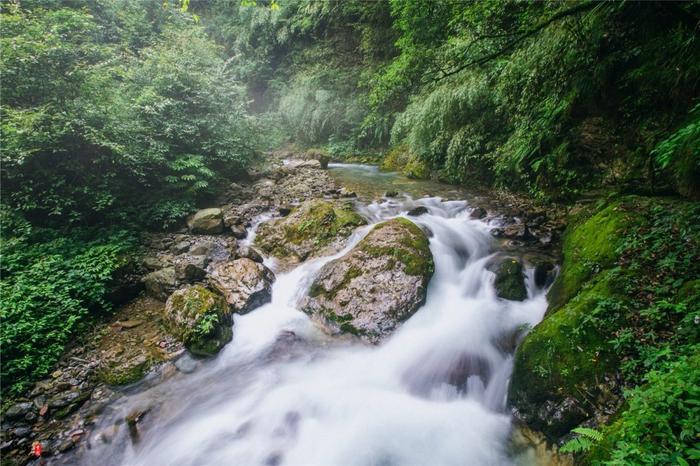 西岭雪山夏季游玩全攻略，前山后山让你一次嗨翻天