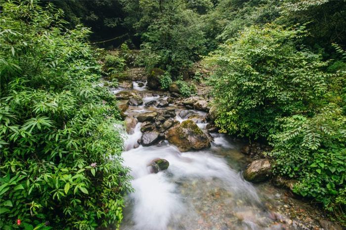 西岭雪山夏季游玩全攻略，前山后山让你一次嗨翻天