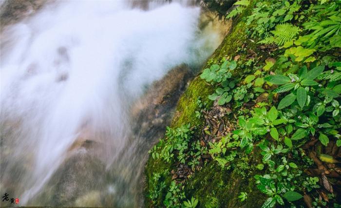 西岭雪山夏季游玩全攻略，前山后山让你一次嗨翻天