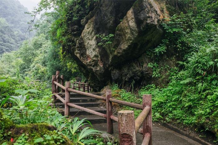 西岭雪山夏季游玩全攻略，前山后山让你一次嗨翻天