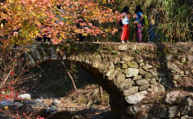 南黄古道——一个隐于浙东山区的清新小众好去处