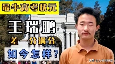 ​2004年，山东差一分满分的最牛高考状元王瑞鹏，如今怎样了？