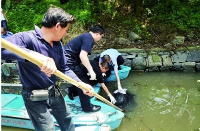 ​母子乱伦20多年！为了泄愤，男子对自己70岁的母亲痛下杀手！