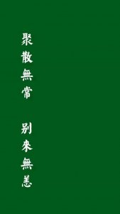 ​干净护眼的绿色系手机壁纸