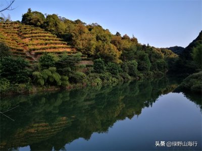 ​「揭西」大北山森林公园