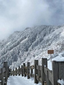 ​下雪啦！四川多地开启降雪模式