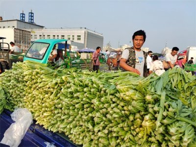 ​北京新发地蔬菜上市量充足，价格开始回落